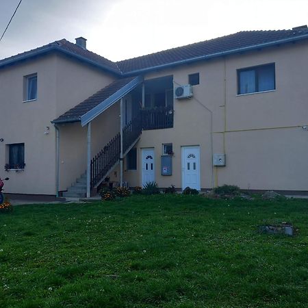 Rm Castell Apartments Νόβι Σαντ Εξωτερικό φωτογραφία
