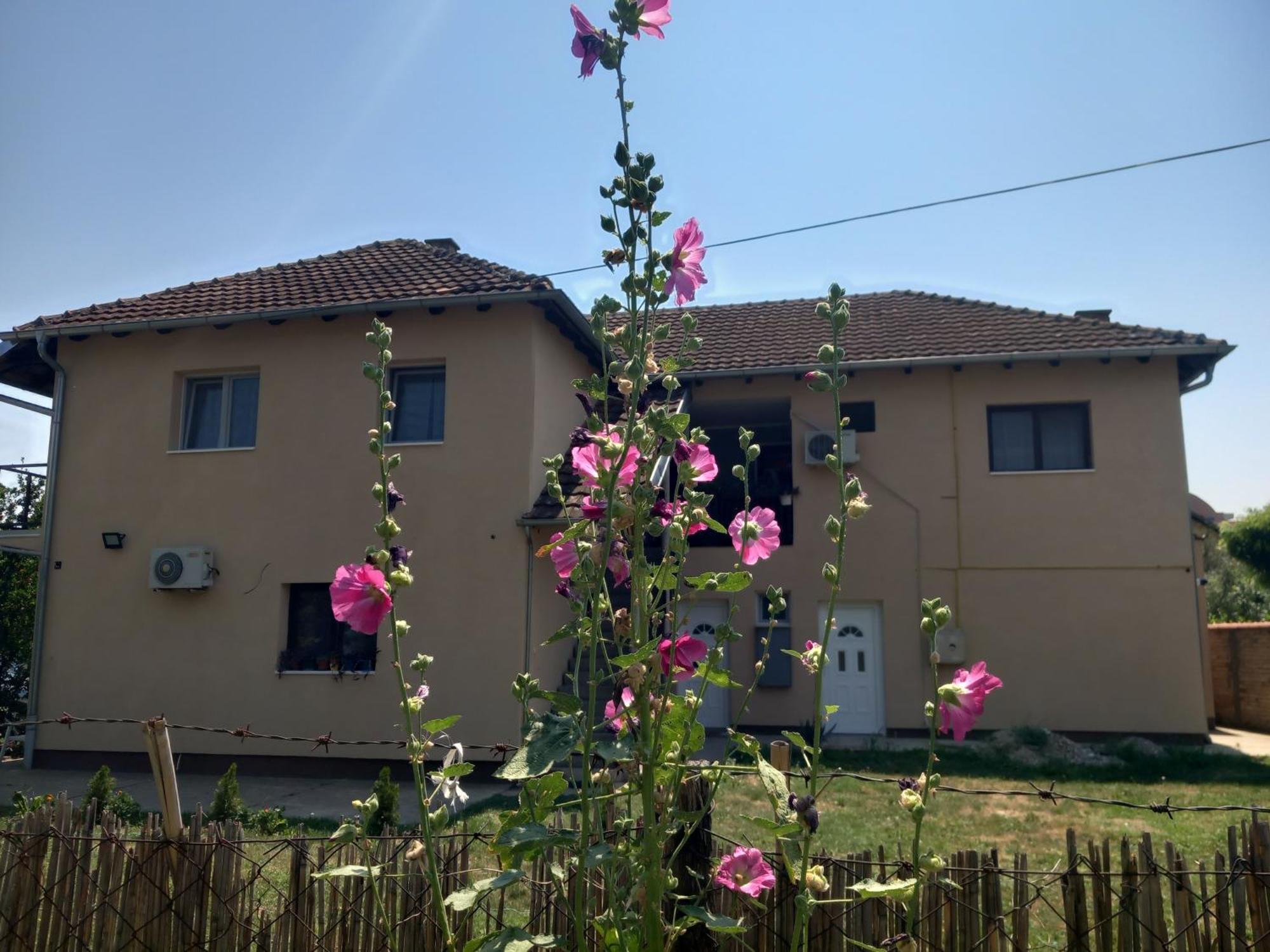 Rm Castell Apartments Νόβι Σαντ Εξωτερικό φωτογραφία